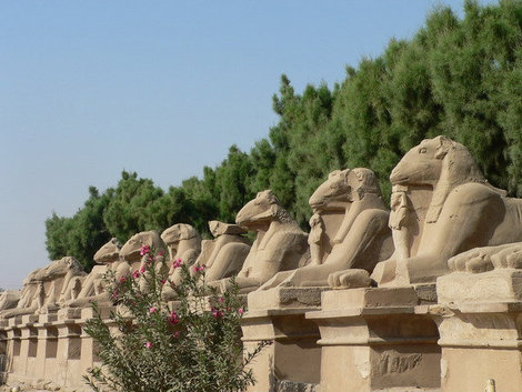 бараны, охраняющие вход в Карнакский храм в Луксоре. Луксор, Египет