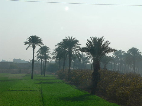 Долина Нила. Луксор, Египет