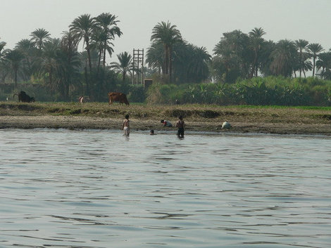 Берега Нила, как и сотни лет назад не испорчены следами цивилизации,урбанизации. Луксор, Египет