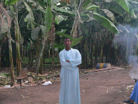 Хозяин банановых рощ. Луксор, Египет