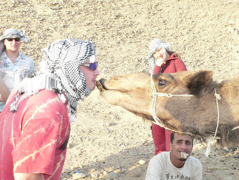 Поцелуй с верблюженком. Хургада, Египет