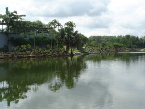 Красота тропического сада Паттайя, Таиланд