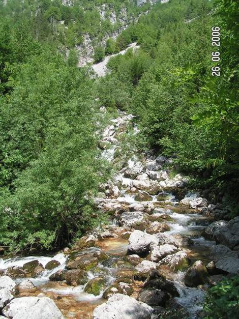 Камни, деревья и вода Юлийские Альпы, Словения