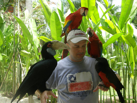 Парк птиц и немного другой балийской живности Индонезия