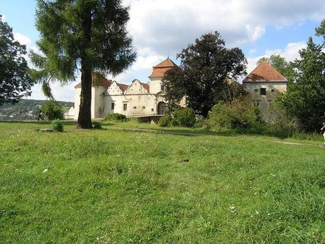 Замок в Свирже Львовская область, Украина