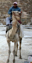 Горячий египетский юноша у пирамид