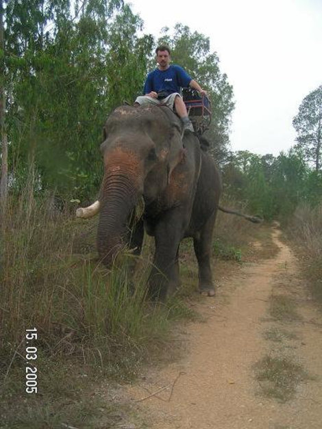 Вместо такси — слон! Паттайя, Таиланд