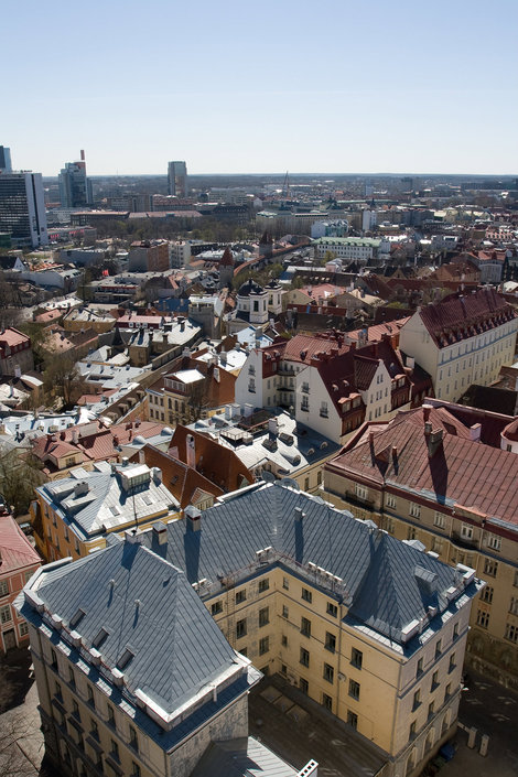 Обзорная площадка Церкви Святого Олафа Таллин, Эстония