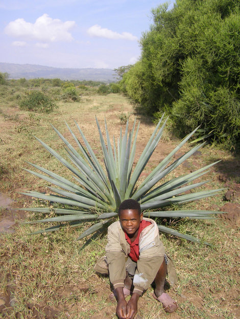 Природа Эфиопии Эфиопия