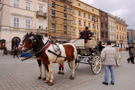 Карета на Рыночной площади Краков, Польша