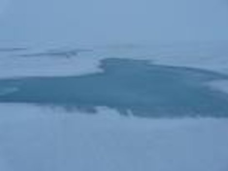 Так выглядит снежница на ледовой глыбе... Гренландия