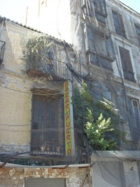 С другой стороны от дерева был старый заброшенный дом. Так давно заброшенный, что на его балкоен вырос кактус. Приглядитесь. Малага, Испания