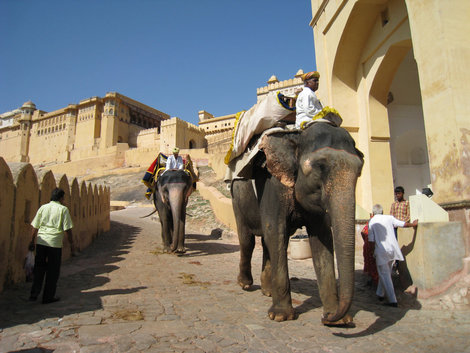 Джайпур. Крепость-дворец Амер. Способ подъема Индия