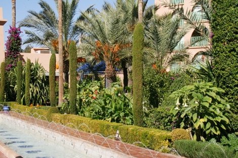 Сад отеля Марокко