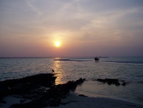 Kuramathi Мальдивские острова