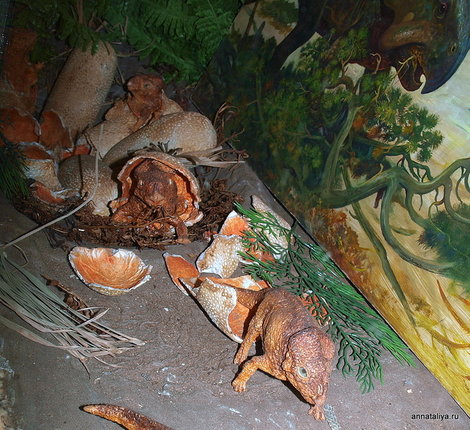 Котельнич. Палеонтологический музей. Процесс вылупления мелких динозавров из яиц Котельнич, Россия