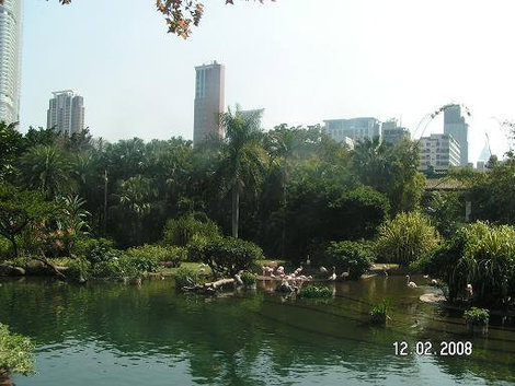 Парк Коулун / Kowloon Park