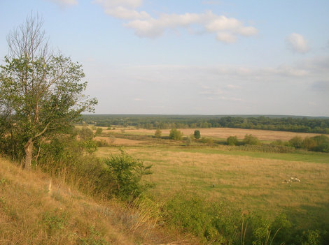 Вид с холма, где, по легенде, отдыхал Пётр I Богодухов, Украина