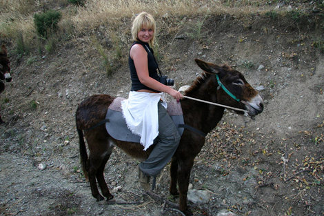 на коне, а точнее на осле Айя-Напа, Кипр