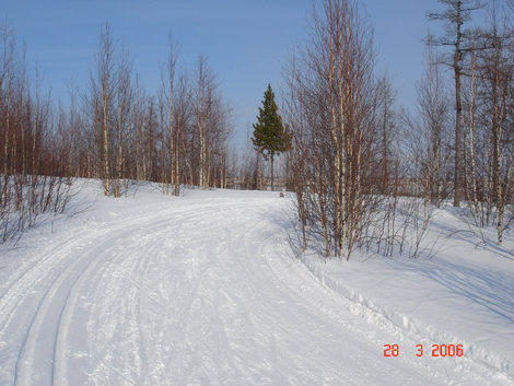 Лыжная прогулка Надым, Россия