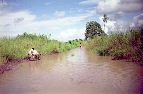 Это не река, это — дорога! Танзания