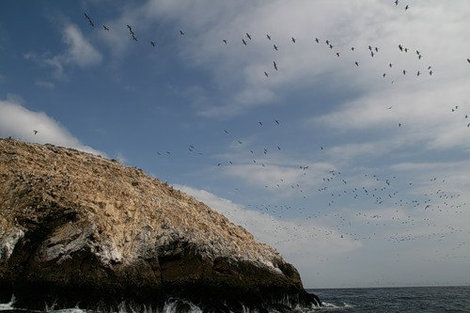 Жаль, что фотографи не передает.. 
Там на самом деле — СТАДА ПТИЦ
Все небо ими заполненно.. Острова Бальестас Национальный Резерват, Перу