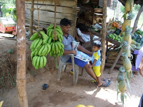 Бананы, ананасы, наваленные горами, как картошка, манго, авокадо и пр. можно запросто купить в таких лавчонках. Унаватуна, Шри-Ланка