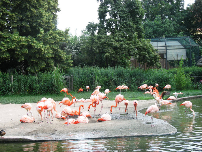 Zoo Прага, Чехия
