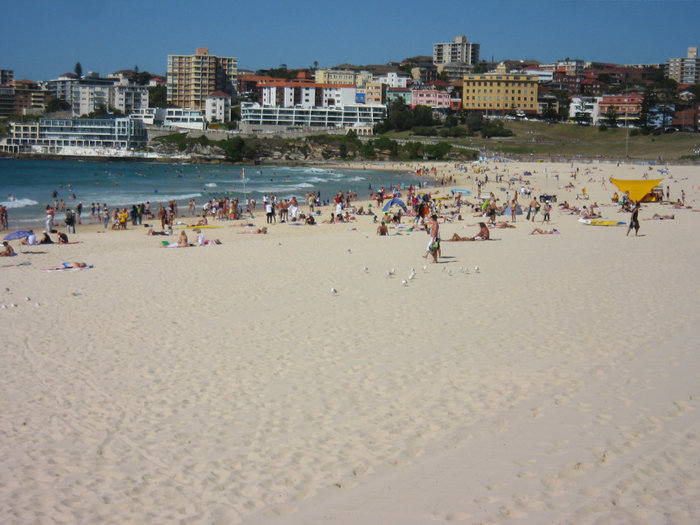 Городские пляжи с противоакульими сетками.. Сидней, Австралия