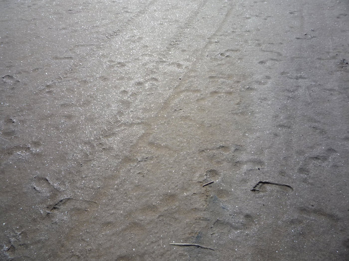 Это — не санный путь, это соль на подступах к озеру Соленому Краснодарский край, Россия