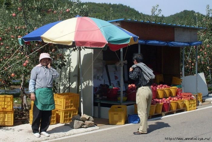 Торговля яблоками в окрестностях Андона Республика Корея