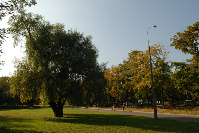 Пруд и парк у Дворца пионеров Москва, Россия