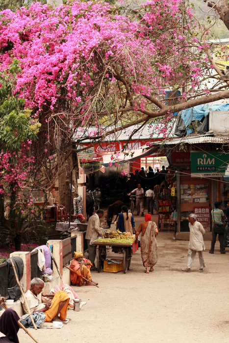 рынок Ришикеш, Индия