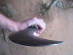 Мастерски расколов этим ножичком кокосик, экскурсовод принялся за выскребание кокосовой стружки с помощью специального аппарата.