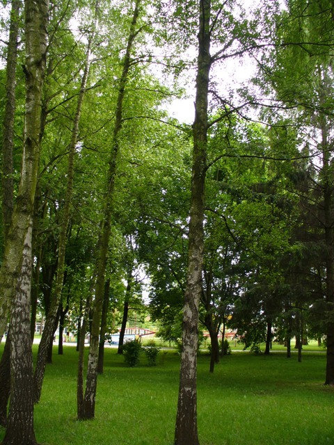 Зеленая зона Брест, Беларусь