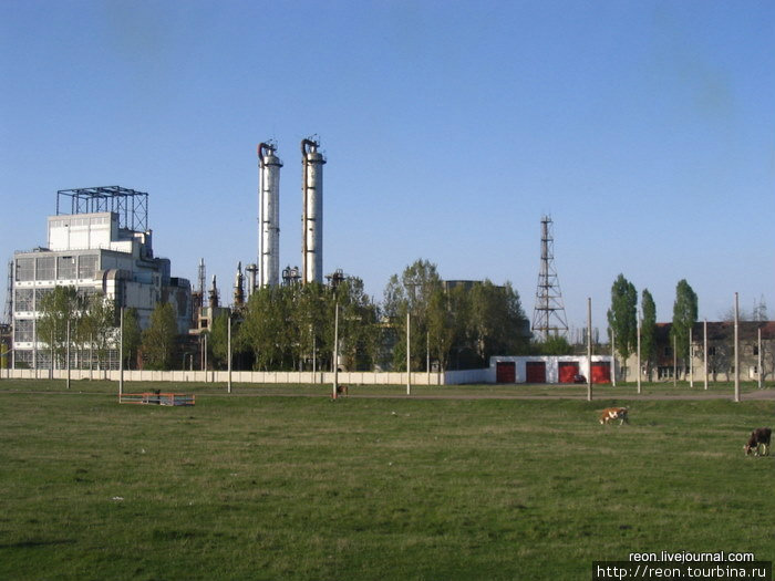 Мощная промышленность — не помеха местным буренкам Северо-Восточный регион, Румыния