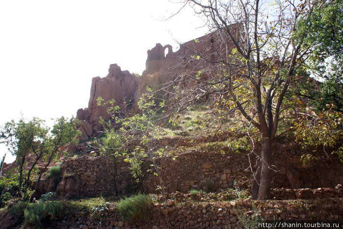Осенний сад у руин Бульман, Марокко