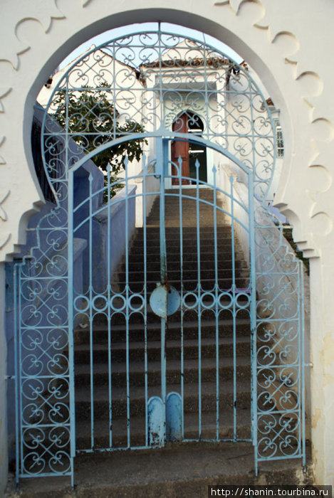 Голубая решетка Шефшауэн, Марокко