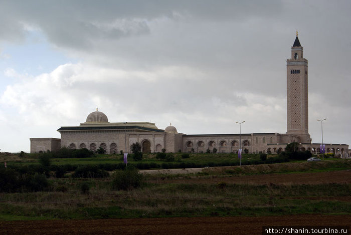 Новая мечеть на руинах Кпарфагена Тунис, Тунис