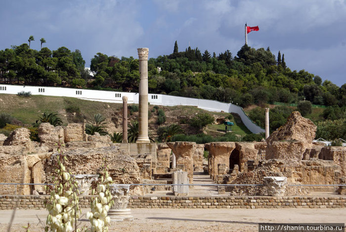 Римские бани — вернее все, что от них осталось Тунис, Тунис