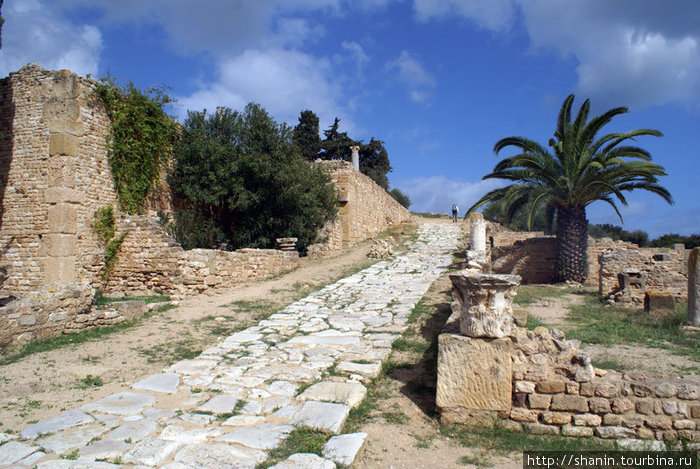 Римская дорога Тунис, Тунис
