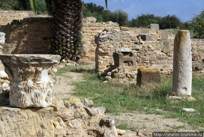 На руинах Карфагена Тунис, Тунис