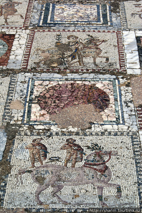 Римская напольная мозаика Тунис, Тунис