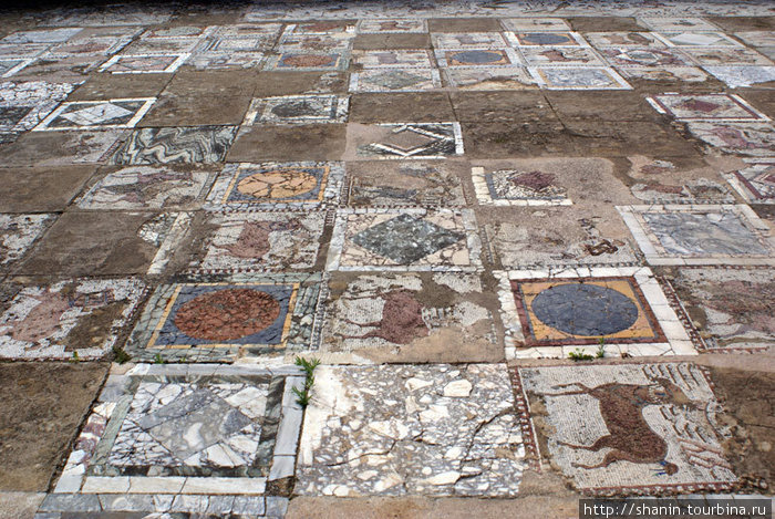 Мозаика на полу внутреннего дворика римской виллы Тунис, Тунис