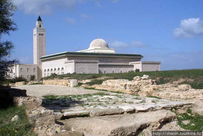 Беломраморная мечеть на руиинах Карфагена Тунис, Тунис
