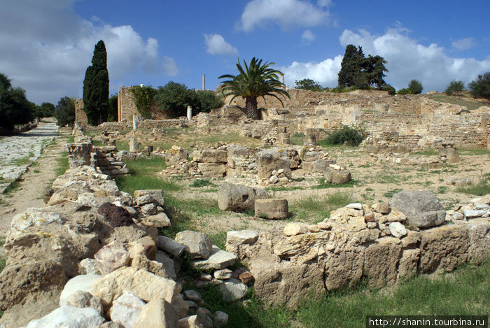 На руинах в Карфагене Тунис, Тунис