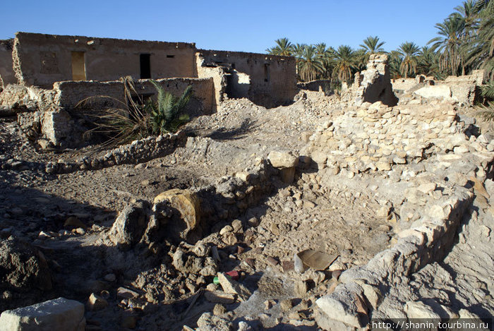 На руинах медины Кебили Кебили, Тунис