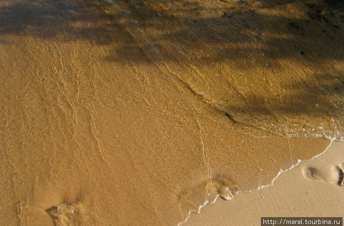 Там песок нежно ласкает ступни ног Ярославская область, Россия