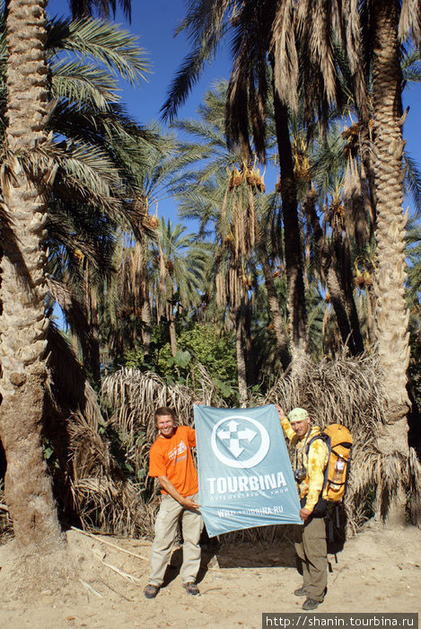 Турбина в финиковой роще на окраине Таузара Таузар, Тунис