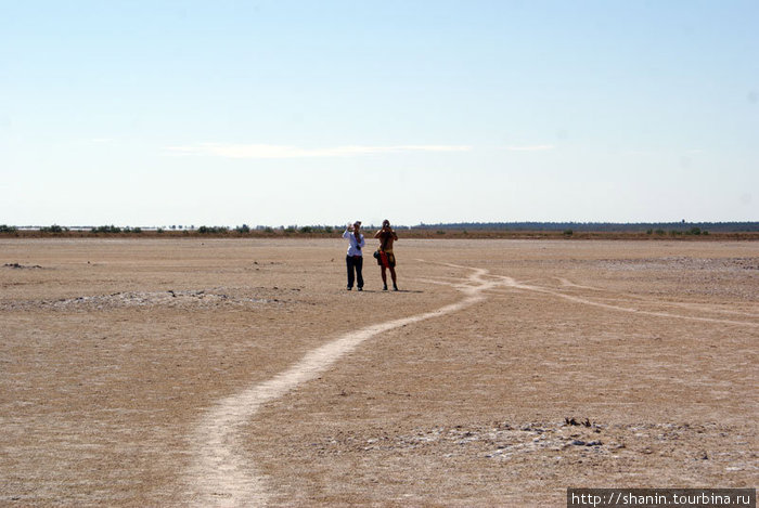 Дорожка через соляное озеро Таузар, Тунис